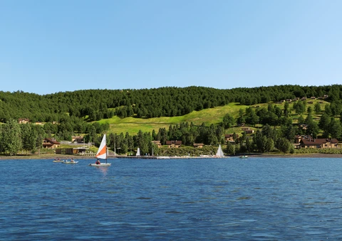 Our portfolio photo, Morskogen